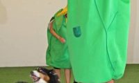 IMG_DD-2018-127