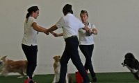 IMG_DD-2018-131