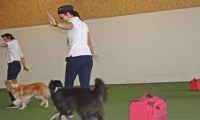 IMG_DD-2018-134