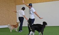 IMG_DD-2018-135