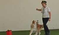 IMG_DD-2018-136
