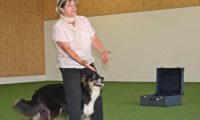 IMG_DD-2018-146