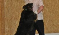 IMG_DD-2018-148