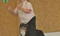 IMG_DD-2018-149