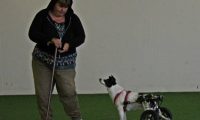 IMG_DD-2018-151