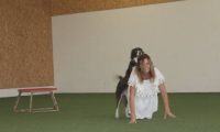 IMG_DD-2018-168