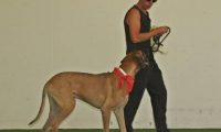IMG_DD-2018-174