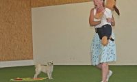IMG_DD-2018-183
