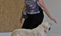 IMG_DD-2018-190