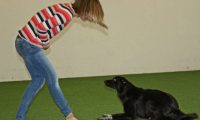 IMG_DD-2018-217