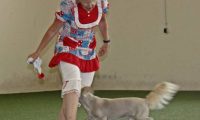 IMG_DD-2018-226