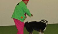 IMG_DD-2018-238