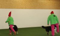 IMG_DD-2018-239