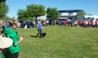 IMG_Ro-DM-05-05-2018-044
