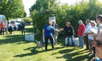 IMG_Ro-DM-05-05-2018-048