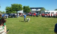 IMG_Ro-DM-05-05-2018-051