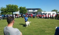 IMG_Ro-DM-05-05-2018-055