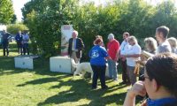 IMG_Ro-DM-05-05-2018-056