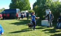 IMG_Ro-DM-05-05-2018-058