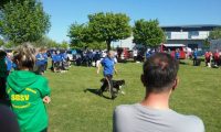 IMG_Ro-DM-05-05-2018-062