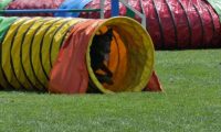 IMG_moosen_2018_303