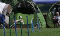 IMG_moosen_2018_320