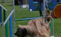 IMG_moosen_2018_336