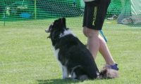 IMG_moosen_2018_358