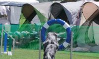 IMG_moosen_2018_383