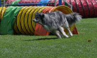 IMG_moosen_2018_394