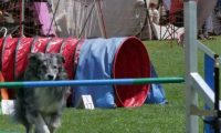 IMG_moosen_2018_397