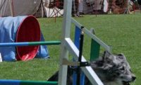IMG_moosen_2018_403