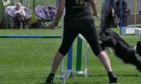 IMG_moosen_2018_408
