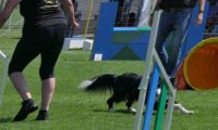 IMG_moosen_2018_409