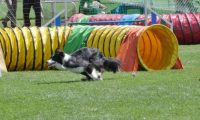 IMG_moosen_2018_415