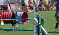 IMG_moosen_2018_436