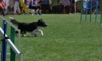 IMG_moosen_2018_446