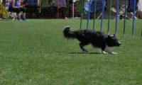 IMG_moosen_2018_448