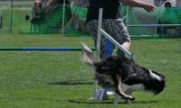 IMG_moosen_2018_451