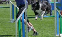 IMG_moosen_2018_461
