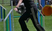 IMG_moosen_2018_477