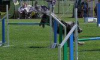 IMG_moosen_2018_479