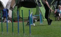 IMG_moosen_2018_483
