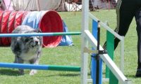 IMG_moosen_2018_492