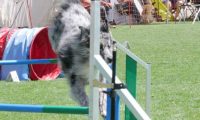 IMG_moosen_2018_495