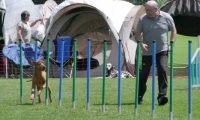 IMG_moosen_2018_505