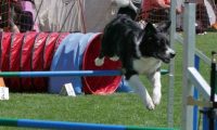 IMG_moosen_2018_520