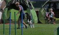 IMG_moosen_2018_526