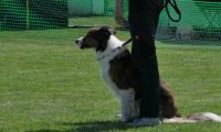 IMG_moosen_2018_535