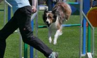 IMG_moosen_2018_537